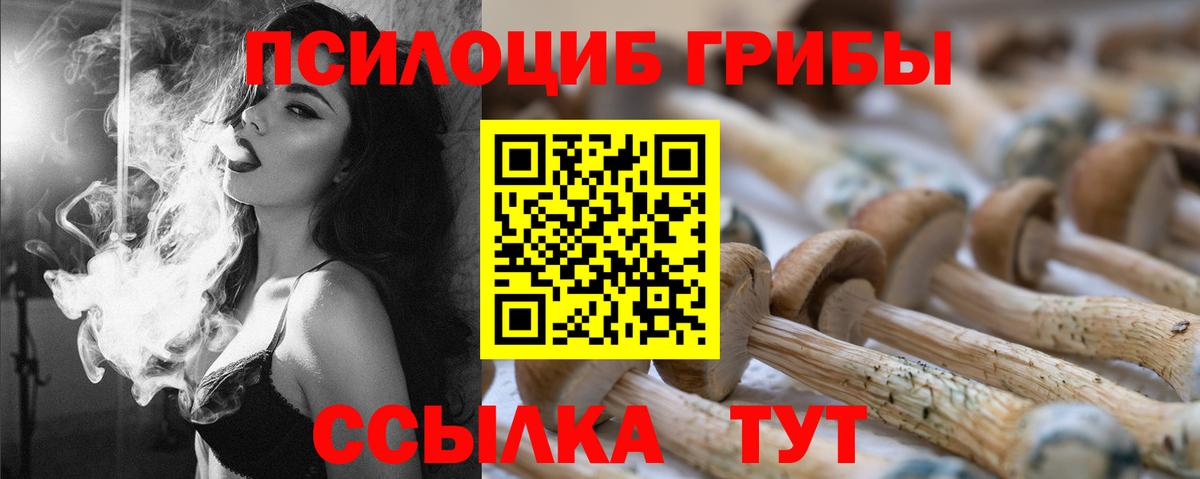 Псилоцибиновые грибы Psilocybine cubensis Кудымкар