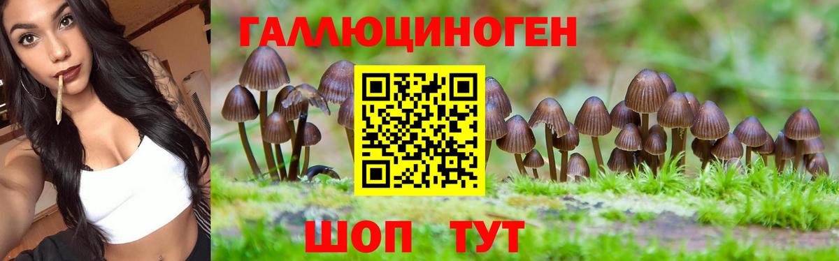 Кудымкар  Галлюциногенные грибы Psilocybine cubensis  Вход с VPN 